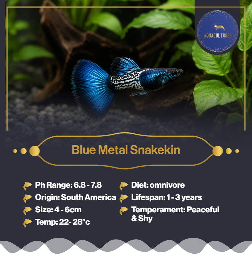 Blue Metal Snakeskin 